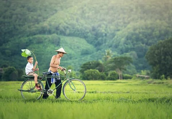 回歸鄉村,方知幸福 【輕鋼別墅】(圖5) 回歸鄉村,方知幸福 【輕鋼別墅】(圖5)