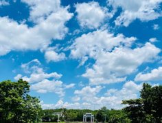 海南:放寬社會(huì)資本進(jìn)入農(nóng)村的限制!中國(guó)大農(nóng)場(chǎng)時(shí)代來臨?