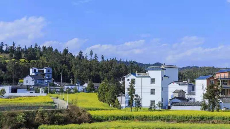 農村開始實施禁止建新房?是真的嗎?(圖2) 睿婕輕鋼別墅