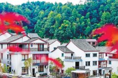 2021年杭州計劃新開工裝配式農房4.3萬㎡，大約完成6000戶的農房建設！